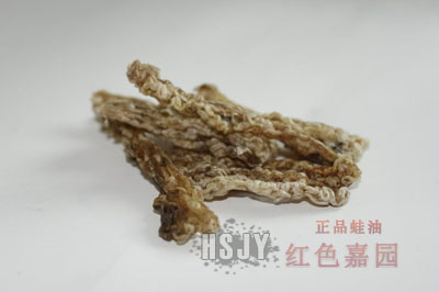 三等短粗条足干林蛙线油
