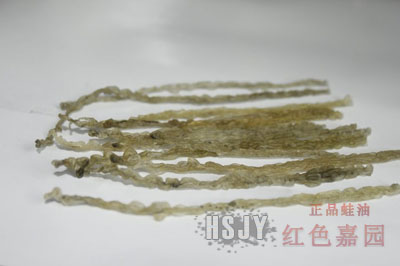 二级细长条林蛙线油(含潮青油)