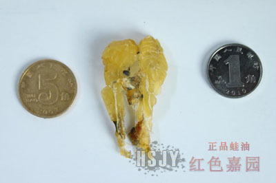 特级金黄色雪蛤块油(含潮)